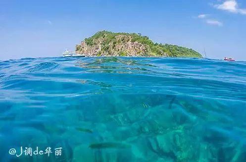 深圳有没有好吃的餐馆?-专业问答交流平台